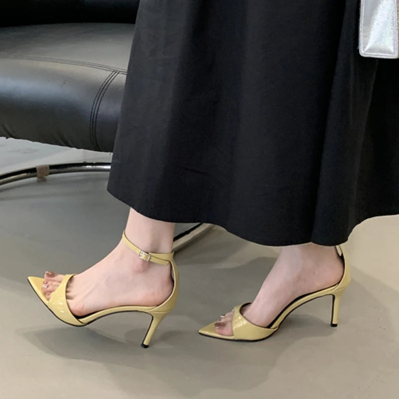 Pointed Toe Ankle Strap Thin High Heel